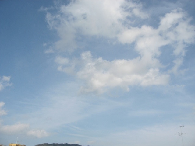画像: 今日もいいお天気でした。
