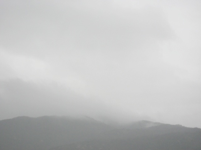 画像: 雨でしたが