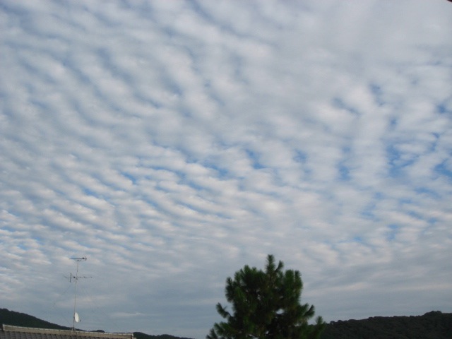 画像: 波打つ雲が