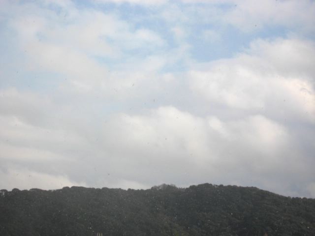 画像: わかりにくいのですが、