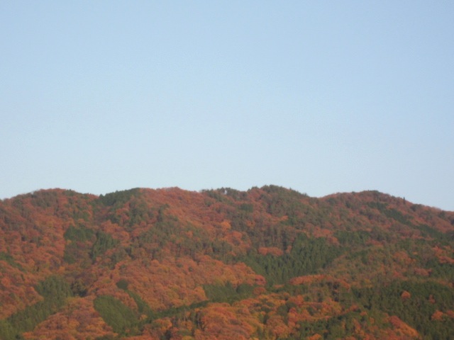 画像: 山を見ていたら