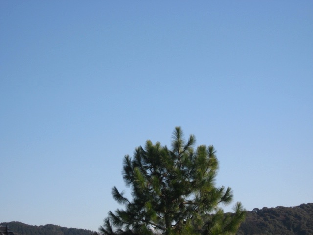 画像: 快晴でした。明るい。