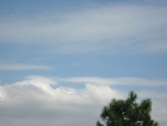 画像: 今日もいいお天気。