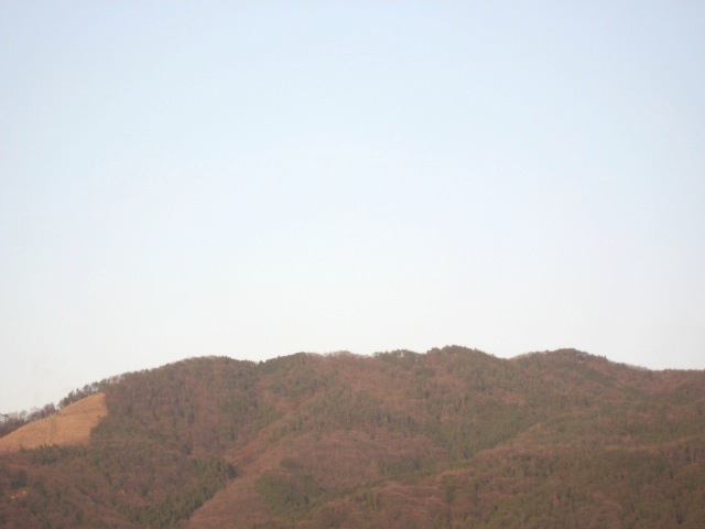 画像: 夕方戻ると
