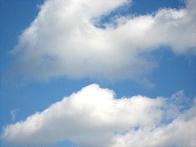 画像: 明るい空、でした。