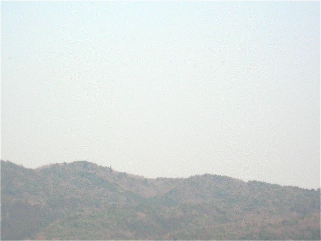 画像: 晴れていました。