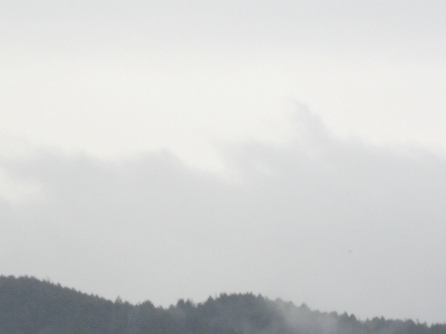 画像: 雨でした。