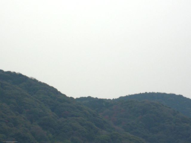 画像: かなり寒くなってきました。