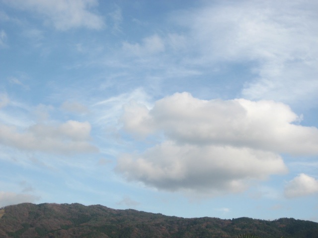 画像: 暖かくて