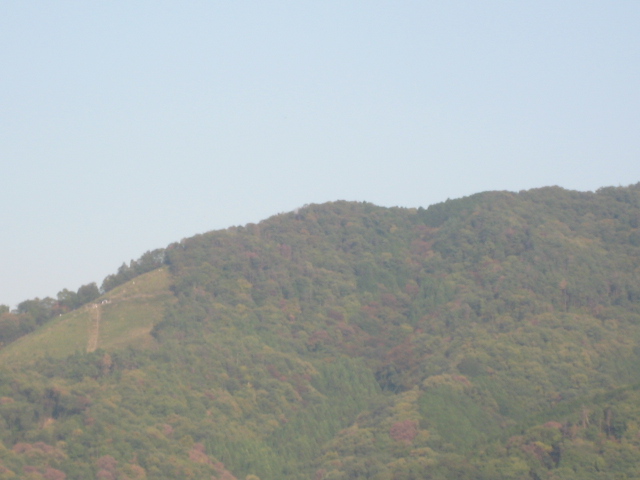 画像: 晴れて薄青い空、