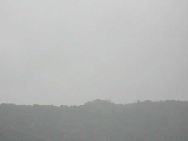 画像: 雨でも