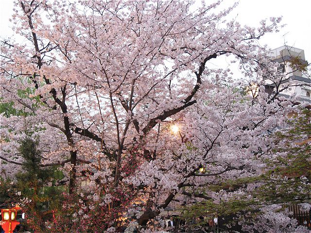 画像: 今日は雨、