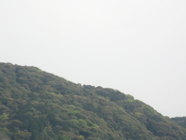 画像: 薄曇り。