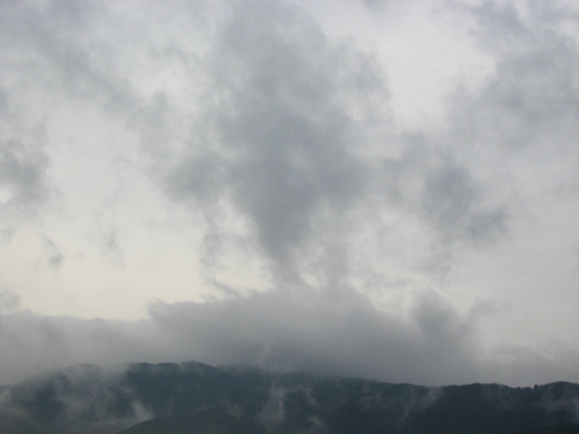 画像: 雨上がり。。