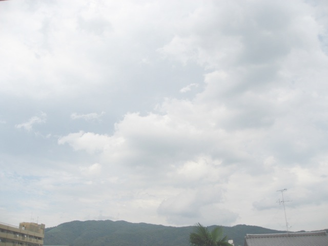 画像: うずまいてもりあがる