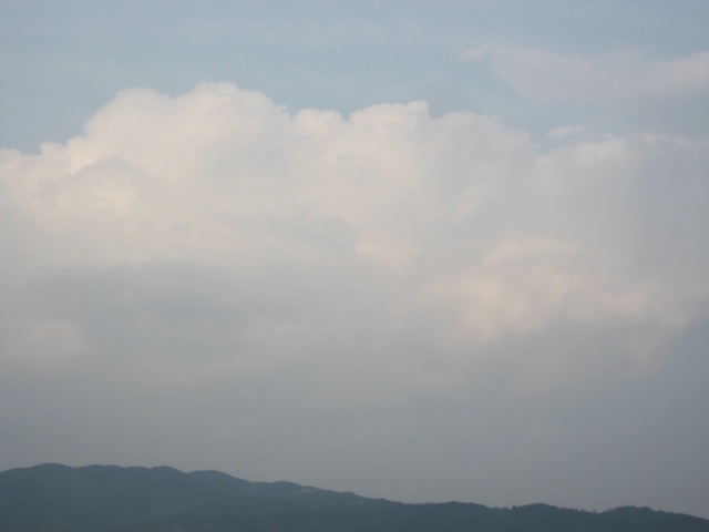 画像: 珍しく。。