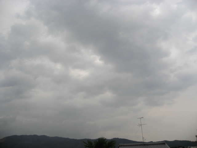 画像: 雨です。