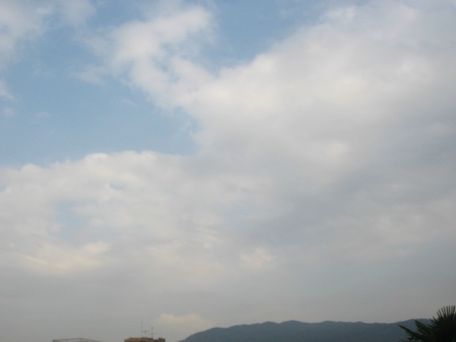 画像: 午後から