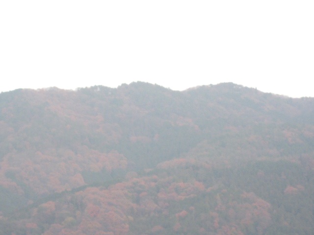 画像: 今日は霧が
