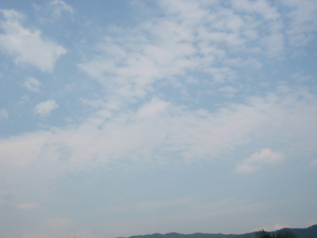 画像: うろこ雲かと思ったら