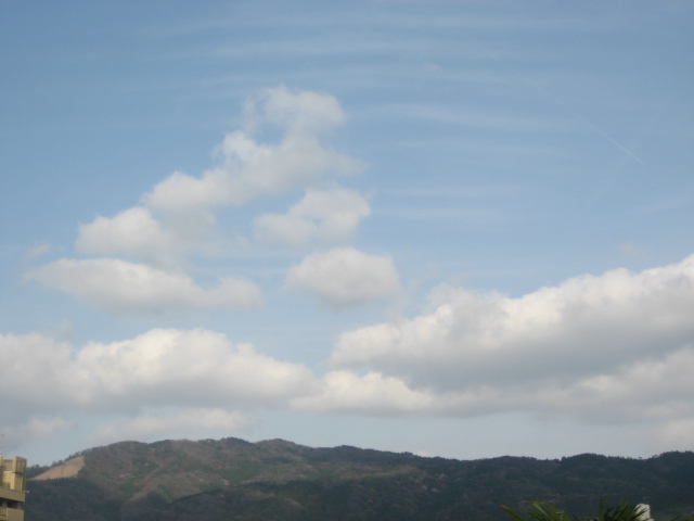 画像: 週末は