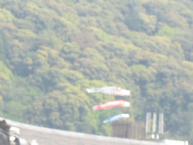 画像: 向こうのほうに