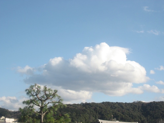 画像: ポコッ、と雲がひとつ。