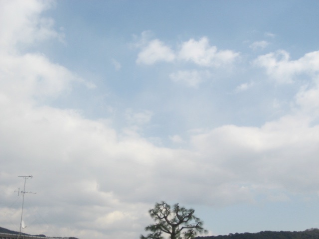 画像: 今日も気持ちよく晴れて