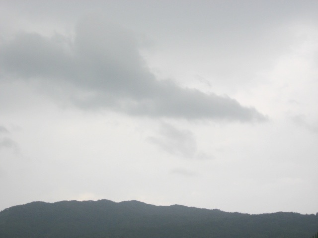 画像: 降ったりやんだり。
