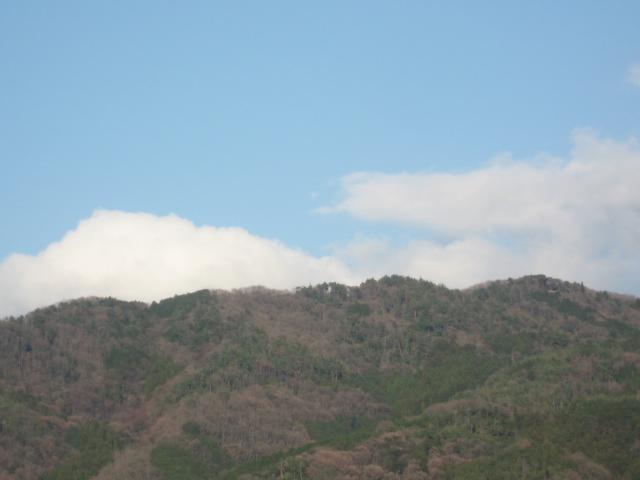 画像: お天気良くなりました。
