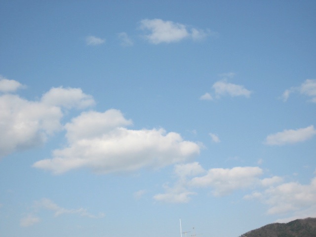 画像: いいお天気の中で見る