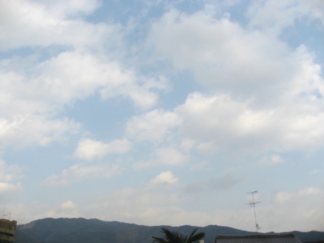 画像: 暖かくなりました。