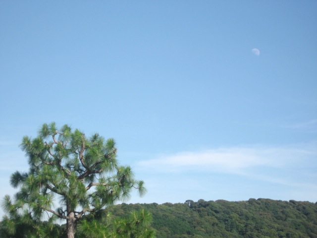 画像: 雲に涼しさを