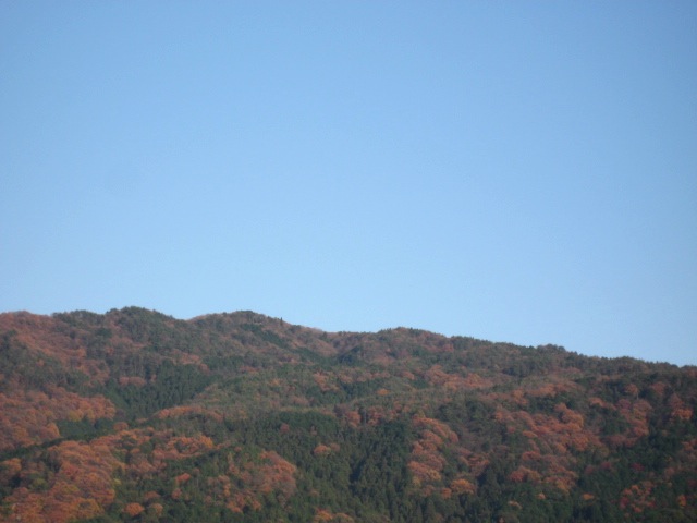 画像: 快晴でした。