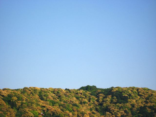 画像: 快晴です。