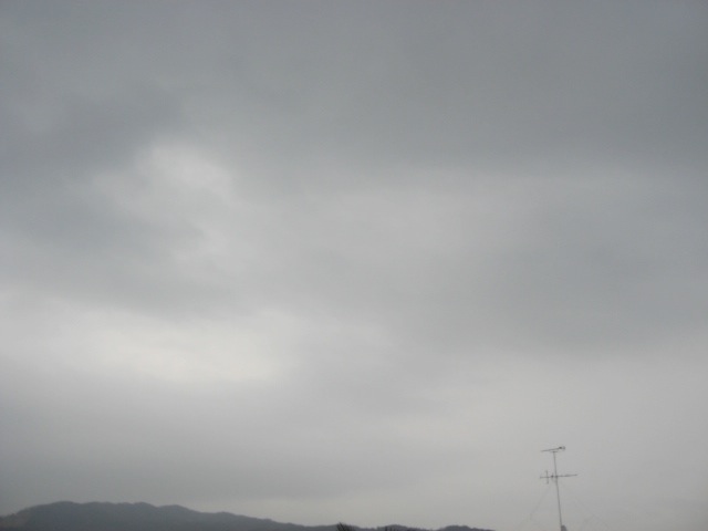 画像: 雨ですね。。