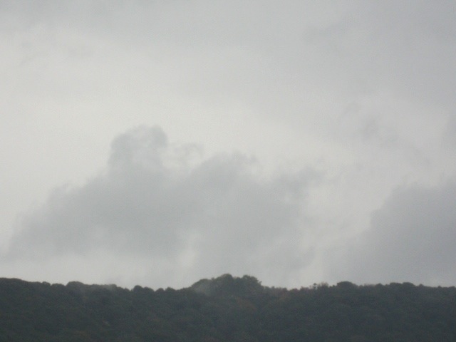 画像: 雨でした。