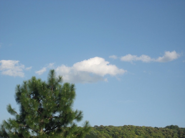 画像: スッキリ晴れて。