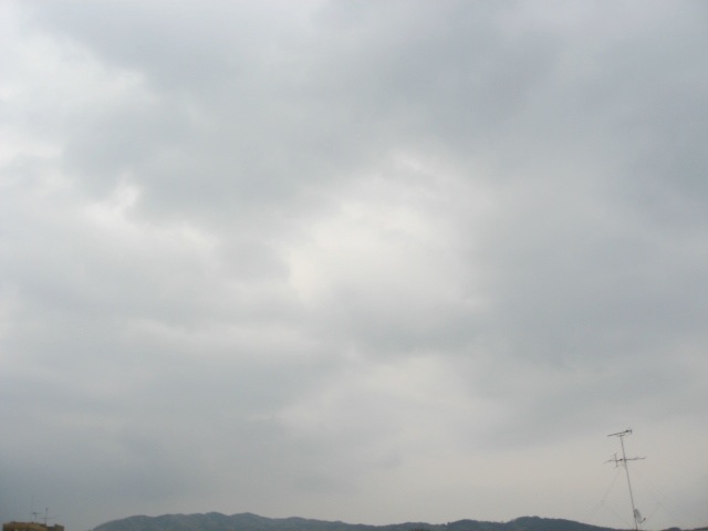 画像: 空一面。。