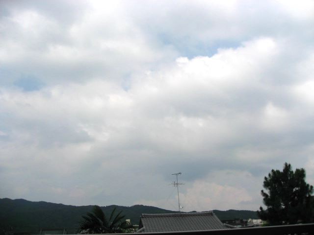 画像: 暑かったです。