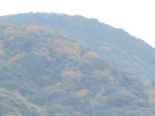 画像: かなり曇っています。