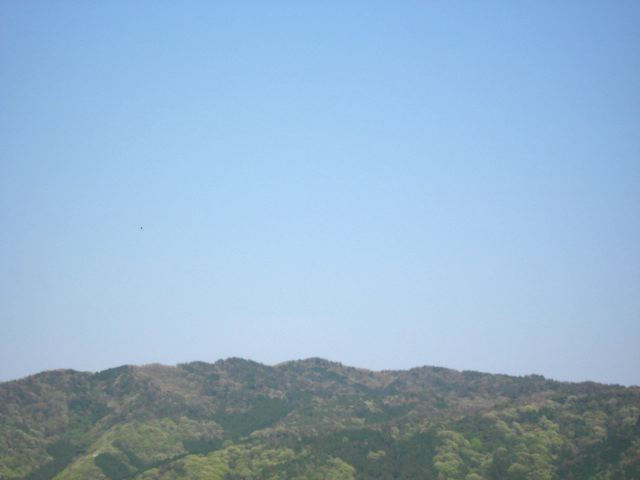 画像: 今日は快晴、25度