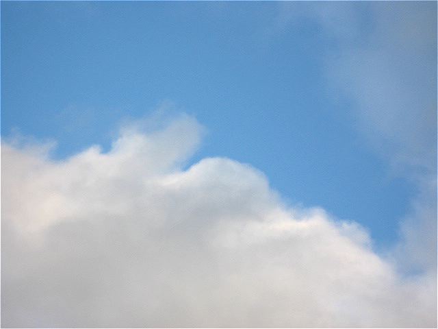 画像: 今日もモコモコで