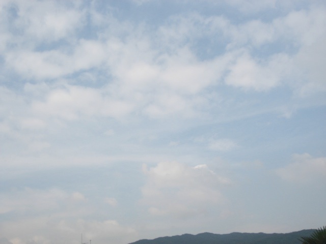 画像: にぎやかな空