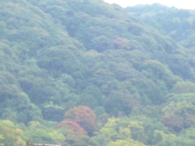 画像: お天気すっきりしないので