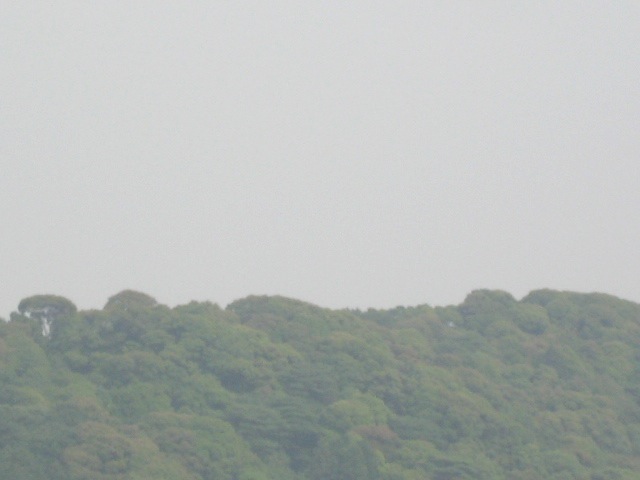 画像: 陽射しがありながら
