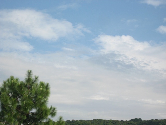 画像: 晴れました。