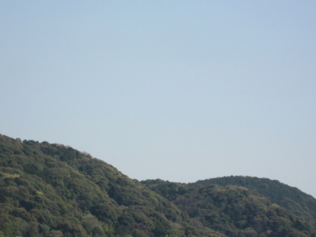 画像: 快晴です。